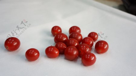 西红柿圣女果新鲜图片