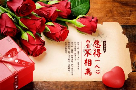 红玫瑰情人节促销