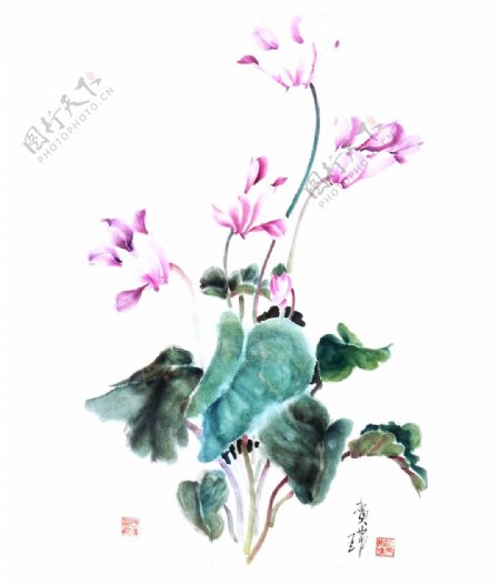 位图植物写意花卉花朵水墨画免费素材