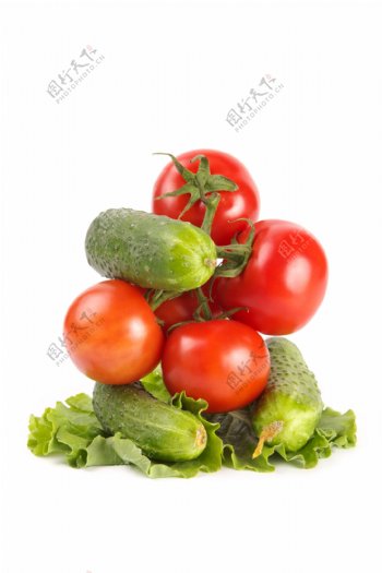 黄瓜西红柿生菜图片
