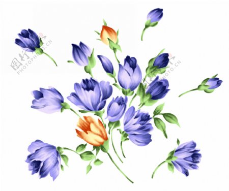 位图植物图案写意花卉花朵郁金香免费素材