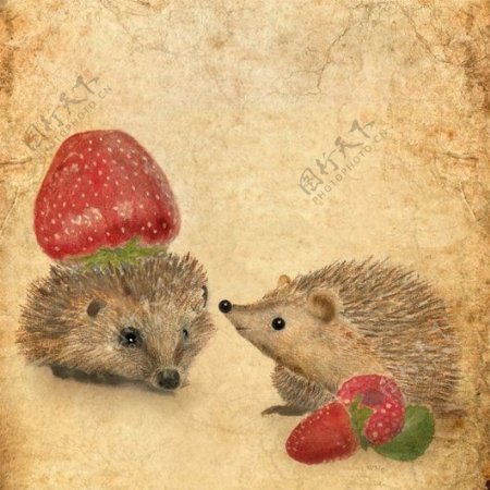 位图动物刺猬植物草莓免费素材