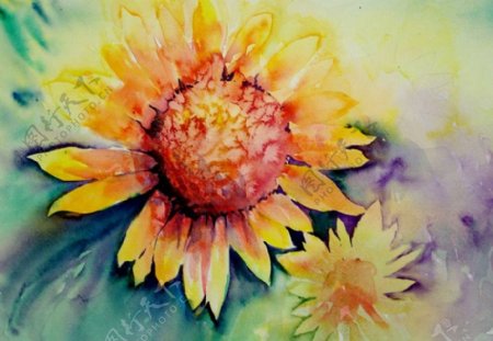 位图植物写意花卉向日葵免费素材
