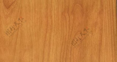 赤杨杉4木纹木纹板材木质