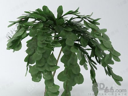 3D灌木模型