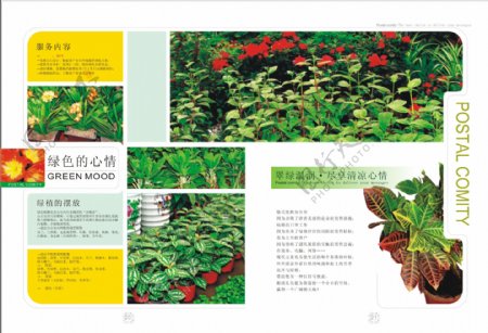 中国邮政礼仪画册矢量素材