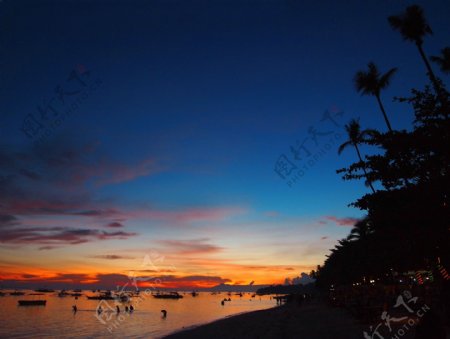 椰林海滩图片