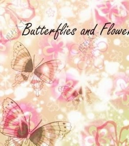 蝴蝶和花笔刷下载