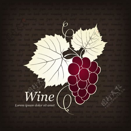 红葡萄酒插画