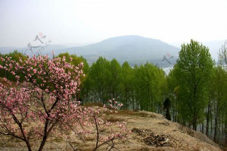 田园风景