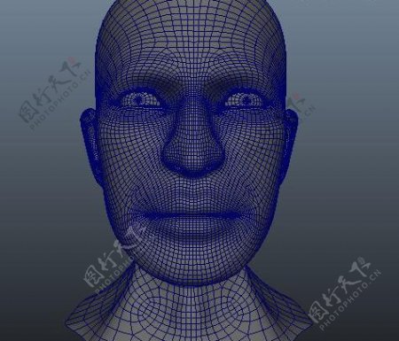 3D人物头像