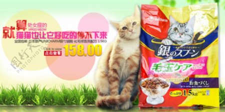 猫咪食品海报