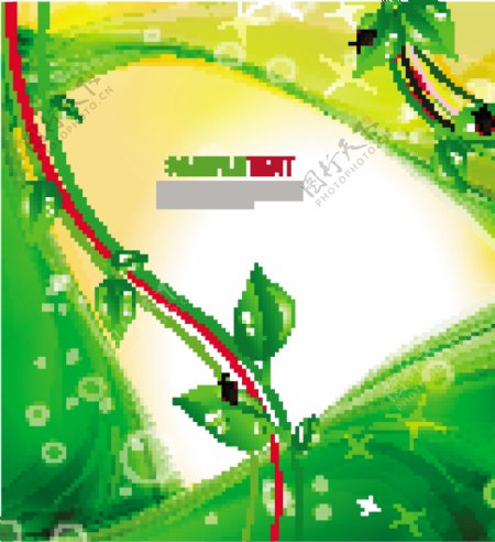 绿色环保动感线条背景绿叶水滴水珠瓢虫图片