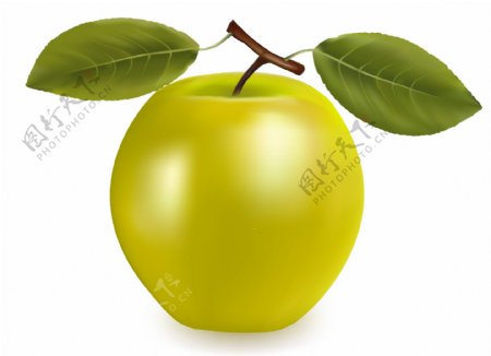 青苹果水果矢量素材