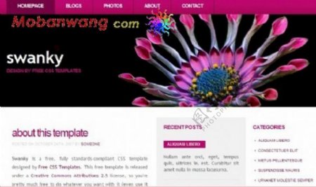 紫红华丽BLOG网页模板