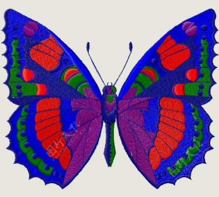 绣花动物蝴蝶色彩免费素材