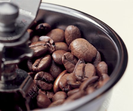 研磨机里的咖啡豆特写咖啡豆咖啡种子