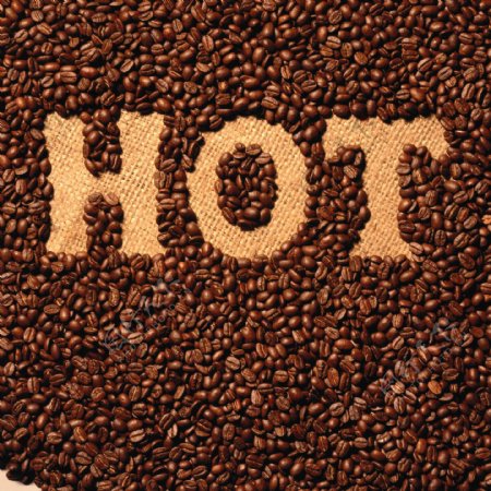 咖啡豆创意字hot