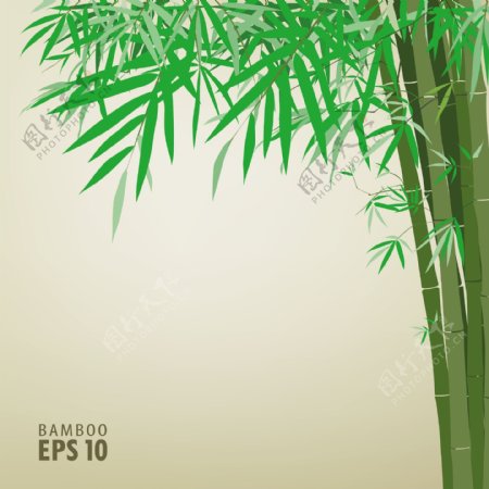 竹子背景素材