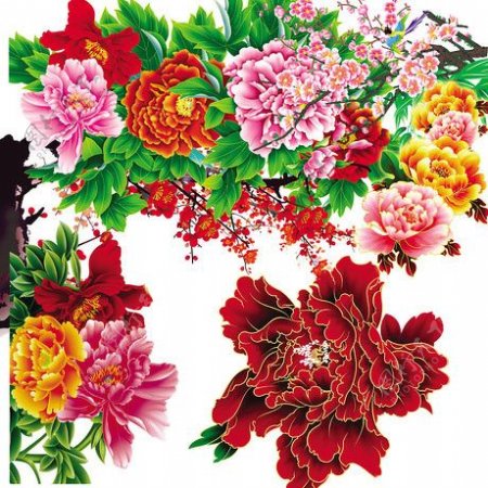 中国传统装饰花卉PSD素材