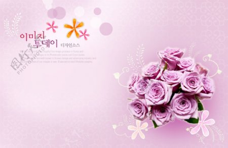紫色西洋玫瑰平面设计素材