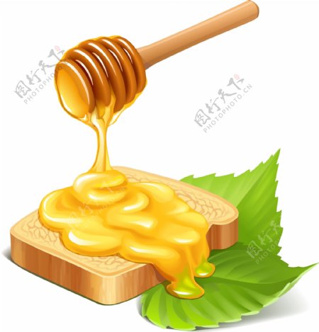蜂蜜面包矢量素材
