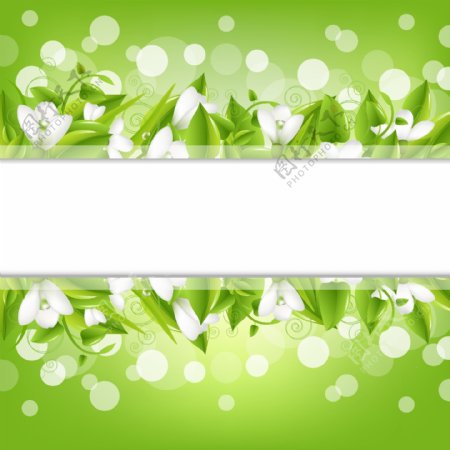 鲜花装饰绿色背景矢量素材