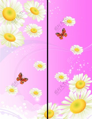 移门花与蝴蝶图片