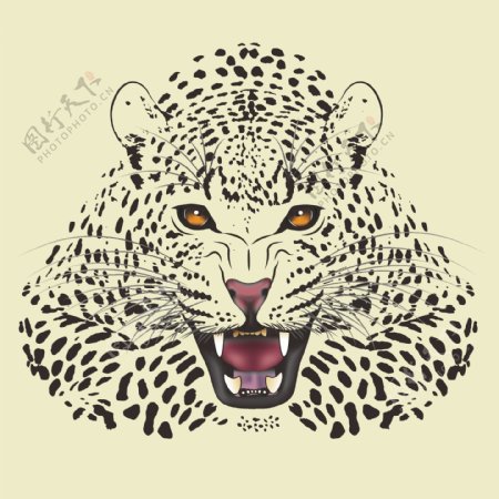 印花矢量图动物猎豹色彩黑色免费素材