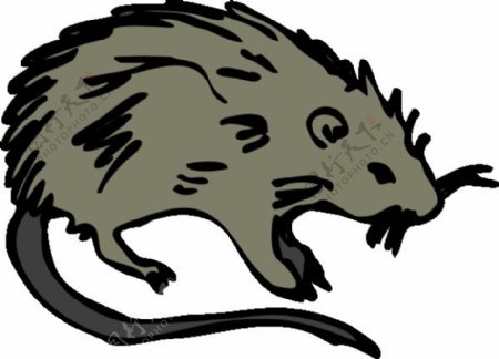 小鼠大鼠的啮齿动物的剪辑艺术