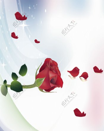 梦幻五彩背景红玫瑰移门图案