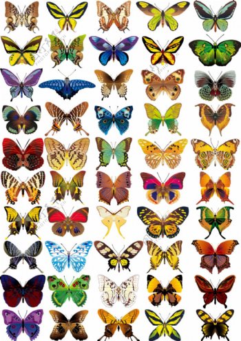 多款彩色蝴蝶矢量素材下载
