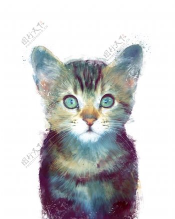 位图艺术效果手绘动物猫免费素材