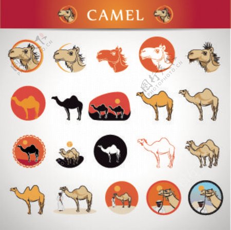 骆驼的图标设计矢量