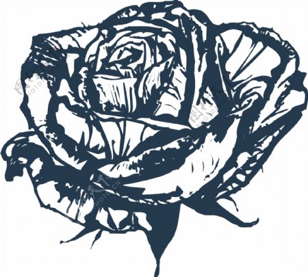印花矢量图优雅植物玫瑰花色彩黑白色免费素材