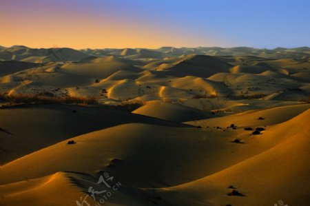 夕阳下的沙漠风光