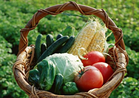 蔬菜篮子图片