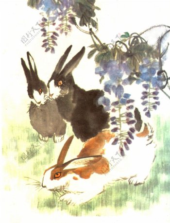 生肖兔国画11