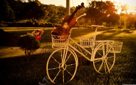 自行车夕阳小提琴图片