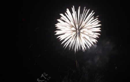 夜空礼花图片