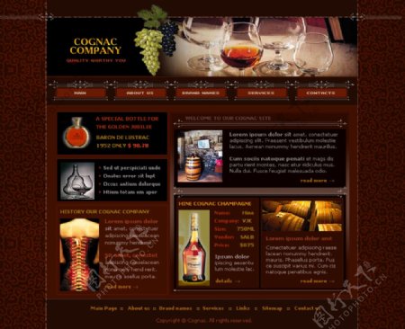 红酒酒会网站图片