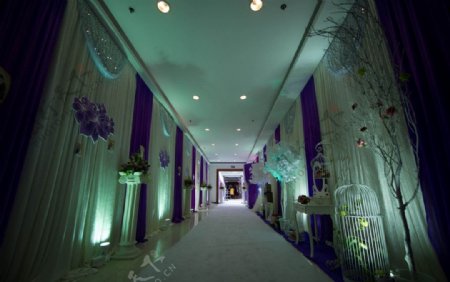 紫色婚礼展示区素材图片