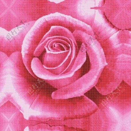 玫瑰花拼图图片