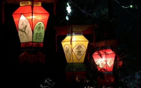 春节花灯图片