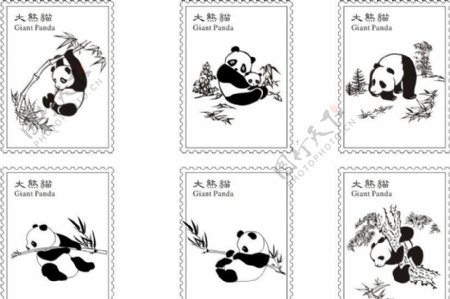 熊猫图片