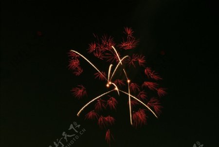 烟花盆花焰火图片