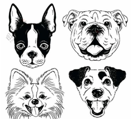 小狗卡通动物设计动画图片