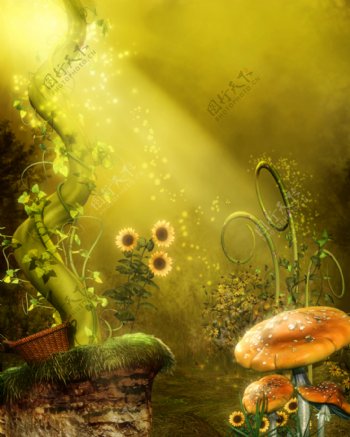梦幻蘑菇图片