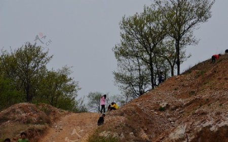 先主山庙会图片