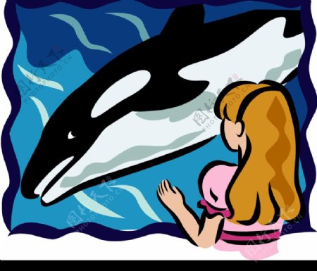 鲸鱼女孩海洋矢量图片